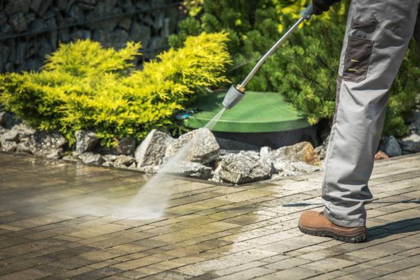 Best Vinyl Siding Pressure Washing in Watertown, MN