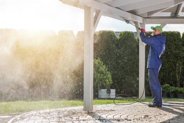 Best Driveway Cleaning and Restoration in Watertown, MN